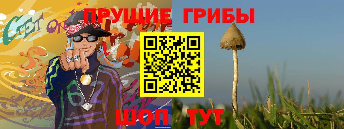 Сатка  Псилоцибиновые грибы мицелий  Вход с VPN 